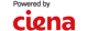 logo-ciena-3